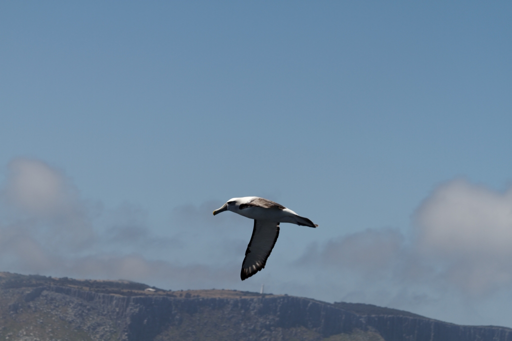 09 - Tasman NP (13).jpg